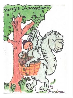 cover image of Harry's Adventure